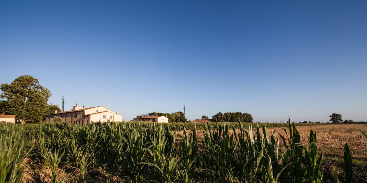 Cascina Canova San Giuliano Terme Eksteriør bilde